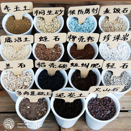 15合1独家配制 多肉植物专用营养土 幼苗生长