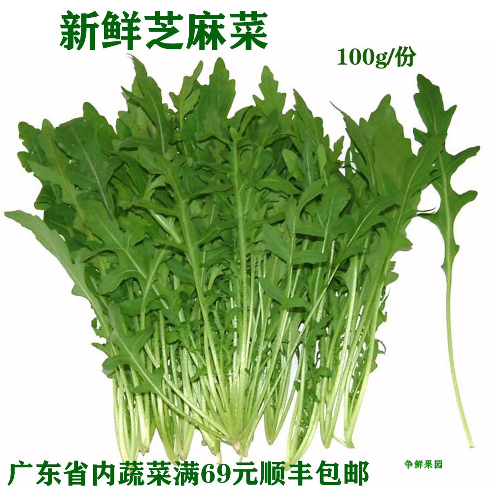 Fresh vegetables Arugula Rocket dish Salad Western Food rocket arugula 100g/ Sharein the Aquatic meat/Fresh fruits and vegetables/Cooked , Fresh vegetables/Vegetable products , Fresh vegetables , Other category - from Buy2taobao.com to provide professional Taobao agent buy service