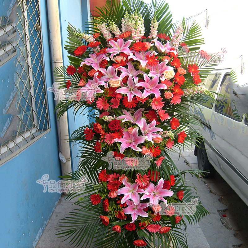 Beijing The opening Flower basket Flower express Housewarming Move Opened The opening Flower basket Tongzhou Daxingin the Flower delivery/Flowers simulation/Plants gardening , Business with flowers category - from Buy2taobao.com to provide professional Taobao agent buy service