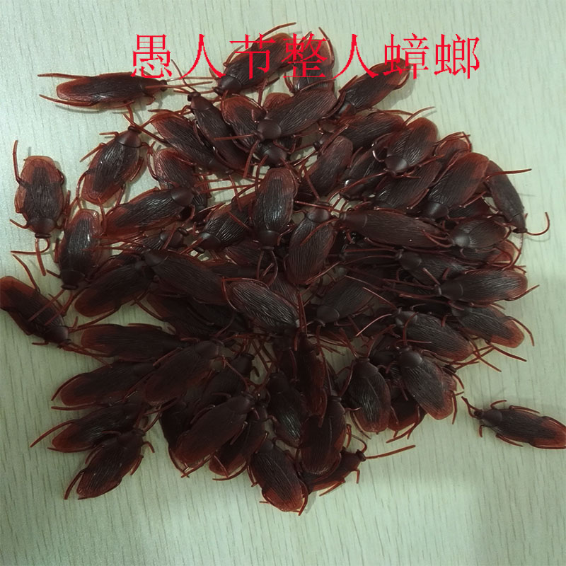 创意礼品吓人日用品仿真整人道具 逼真蟑螂 恐怖 模型小虫子|msdalam kategori bekalan perayaan/hadiah, bekalan Tricky - dari Buy2taobao.com untuk memberikan perkhidmatan ejen Taobao profesional membeli