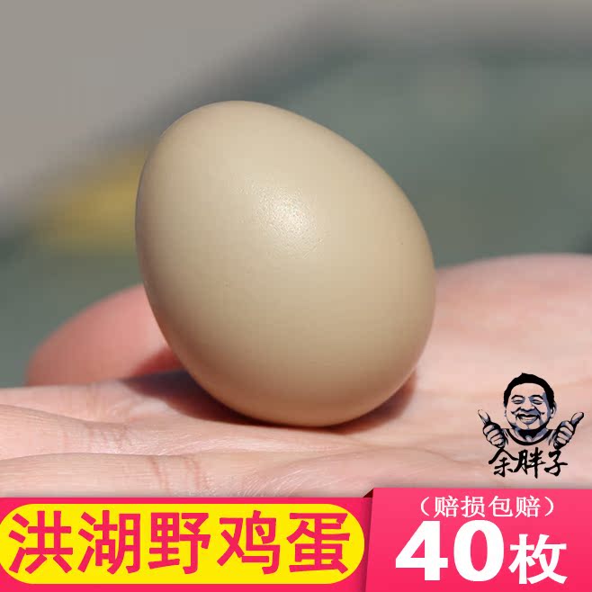 野鸡蛋40枚 山鸡蛋杂粮散养野鸡蛋新鲜农家草土鸡蛋包邮在类目 水产肉类/新鲜蔬果/熟食, 蛋/蛋制品, 鲜活蛋类, 鸡蛋中 - 来自Buy2taobao.com提供专业的淘宝代购服务