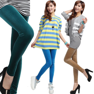  春装新款女士铅笔小脚女韩国金丝绒打底裤薄美腿显瘦大码包邮