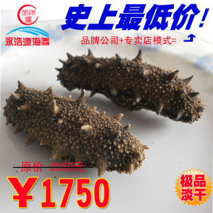  厂家实体直营店/超低促销6-7年野生淡干海参/长岛海参/有QS。