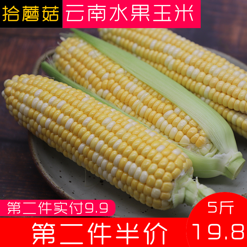 Pick mushrooms Yunnan fruit Corn 5 pounds fresh Sweet corn stick Corn Vegetables 2 10 Jinin the Aquatic meat/Fresh fruits and vegetables/Cooked , Fresh vegetables/Vegetable products , Fresh vegetables , Fresh corn category - from Buy2taobao.com to provide professional Taobao agent buy service