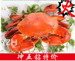  公蟹三门青蟹礼盒海鲜活雄肉蟹蝤蛑大闸蟹梭子蟹帝王螃蟹单只七两