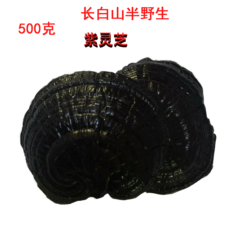 紫灵芝长白山灵芝整枝紫灵芝半野生赤灵芝黑灵芝泡水500克在类目 传统滋补营养品, 灵芝, 整枝灵芝中 - 来自Buy2taobao.com提供专业的淘宝代购服务