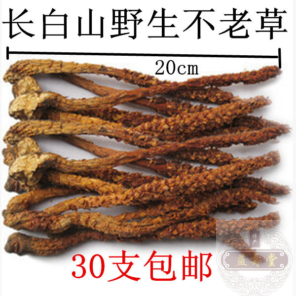 東北長白山野生不老草肉從蓉鎖陽草從蓉泡酒料滋補養生10支包郵在類目 傳統滋補營養品, 其他傳統滋補品, 不老草中 - 來自Buy2taobao.com提供專業的淘寶代購服務