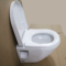 上下架计划:TOTO CW762B/384CVK缓降盖+WH023R+MB003CP 挂墙式坐便器 隐藏式