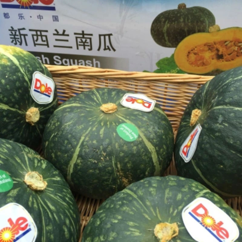 购新鲜 新西兰小南瓜进口原箱6只装孕妇宝宝辅食甜糯板栗味 包邮在类目 水产肉类/新鲜蔬果/熟食, 新鲜蔬菜/蔬菜制品, 新鲜蔬菜, 其它中 - 来自Buy2taobao.com提供专业的淘宝代购服务