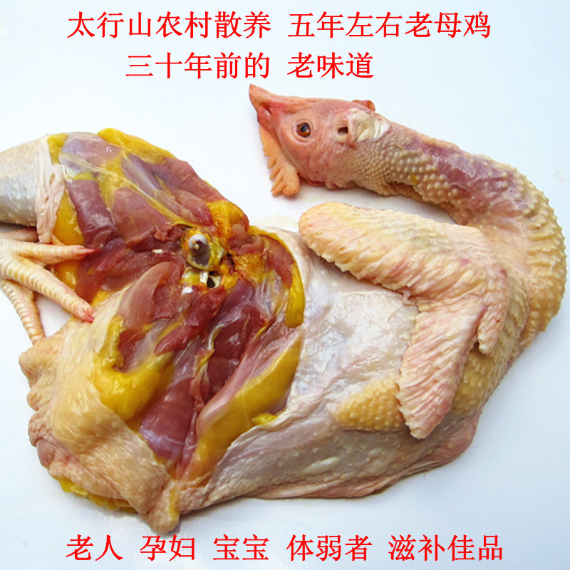 Farm Backyard Free range chicken Hen 5 years Chicken Chickens Soup Tonic The month Countryside Chaijiin the Aquatic meat/Fresh fruits and vegetables/Cooked , Raw meat/Meat , Chicken , Raw chicken category - from Buy2taobao.com to provide professional Taobao agent buy service