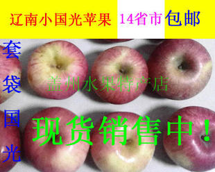  正宗东北小国光苹果 辽宁营口盖州苹果 酸甜可口 14省包邮