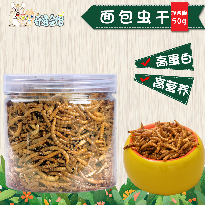 仓鼠粮食 面包虫干 仓鼠最爱 黄粉虫干 乌龟龙鱼仓鼠用品 仓鼠零|msdalam kategori haiwan peliharaan/makanan haiwan dan bekalan, hamsters kelas haiwan peliharaan dan lain-lain kecil, Feed/makanan ringan - dari Buy2taobao.com untuk memberikan perkhidmatan ejen Taobao profesional membeli