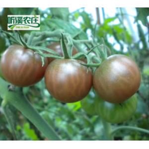  水果番茄（春桃）200g/份  厦门听溪农庄有机种植蔬菜