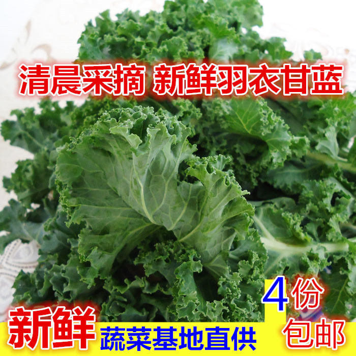 新鲜蔬菜羽衣甘蓝kale 250g嫩叶芥蓝菜现摘蔬菜营养健身餐沙拉菜在类目 水产肉类/新鲜蔬果/熟食, 新鲜蔬菜/蔬菜制品, 新鲜蔬菜, 其它中 - 来自Buy2taobao.com提供专业的淘宝代购服务