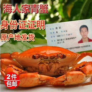  三门青蟹鲜活 锯缘青蟹公蟹无膏 海鲜鲜活 公螃蟹单只1斤上2斤装