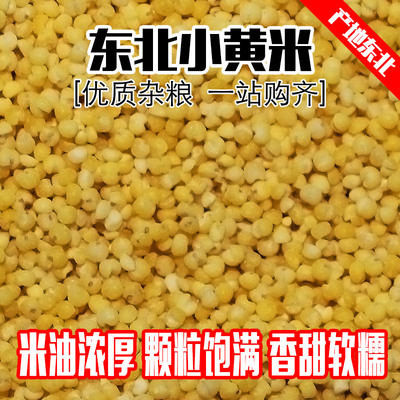 小米黄小米煮粥煮饭月子餐营养米脂米油食用新粮