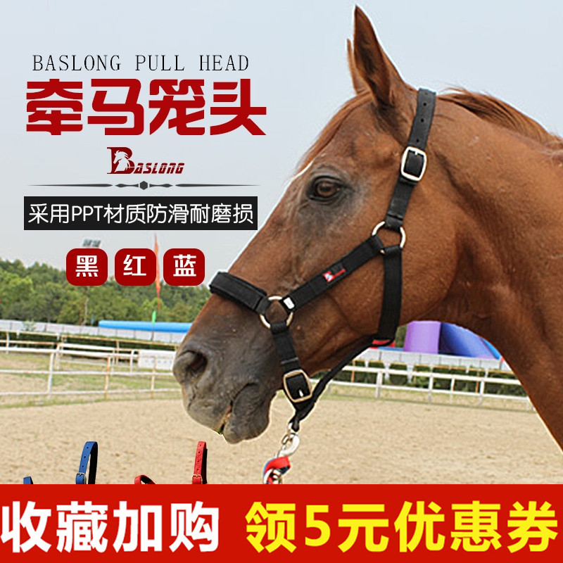 马龙头龙套 缰绳马笼头纯手工编织马术用品马鞍马笼头驴骡手在类目 运动/瑜伽/健身/球迷用品, 马术运动, 马匹装备, 牵马/调教龙头中 - 来自Buy2taobao.com提供专业的淘宝代购服务
