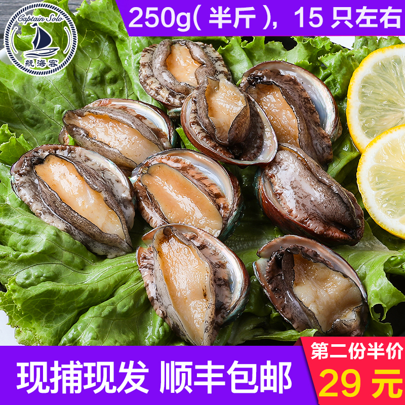 青岛海鲜水产野生鲜活鲍鱼250g包邮 大鲍鱼小鲍鱼仔 深海野生鲍鱼在类目 水产肉类/新鲜蔬果/熟食, 海鲜/水产品/制品, 贝类, 鲍鱼中 - 来自Buy2taobao.com提供专业的淘宝代购服务
