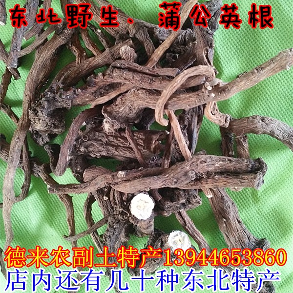 东北特产野生蒲公英根 蒲公英根茶 婆婆丁根干带根的新货500g包邮在类目 传统滋补营养品, 养生茶中 - 来自Buy2taobao.com提供专业的淘宝代购服务