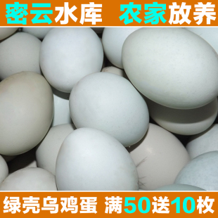  放养山地乌鸡蛋 北京密云水库 农家散养绿皮鸡蛋 绿壳健康土鸡蛋