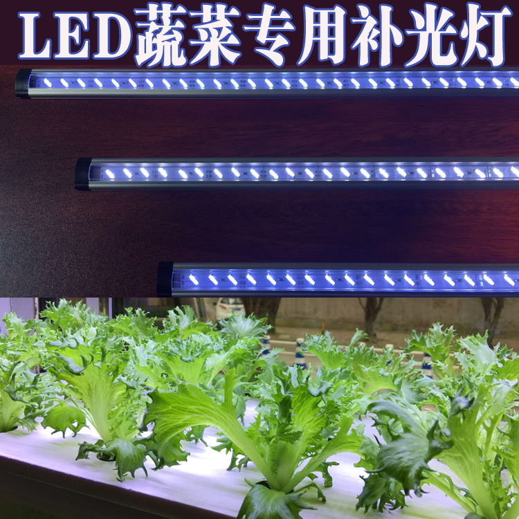 LED蔬菜生長燈多肉植物補光燈防徒長超亮白光護眼光源不傷眼包郵在類目 鮮花速遞/花卉仿真/綠植園藝, 園藝用品, 其它園藝用品中 - 來自Buy2taobao.com提供專業的淘寶代購服務