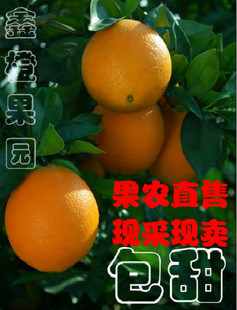  【精品果】正宗赣南脐橙 信丰甜橙子新鲜水果特产20斤装 限抢三天