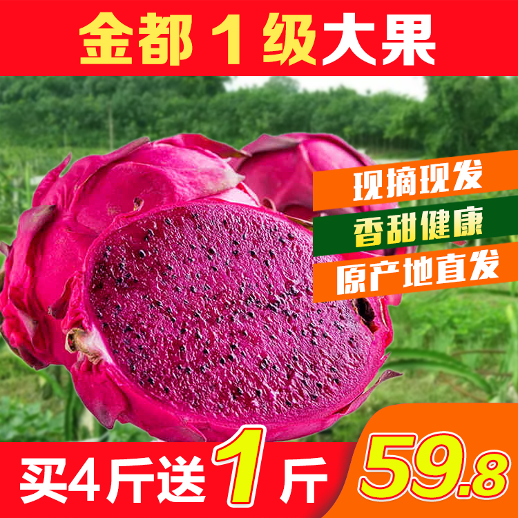Xuwen Waldo Number one Red Pitaya 5 Large fruit fresh fruit Red meat pitaya Redin the Aquatic meat/Fresh fruits and vegetables/Cooked , Fresh fruit , Pitaya category - from Buy2taobao.com to provide professional Taobao agent buy service