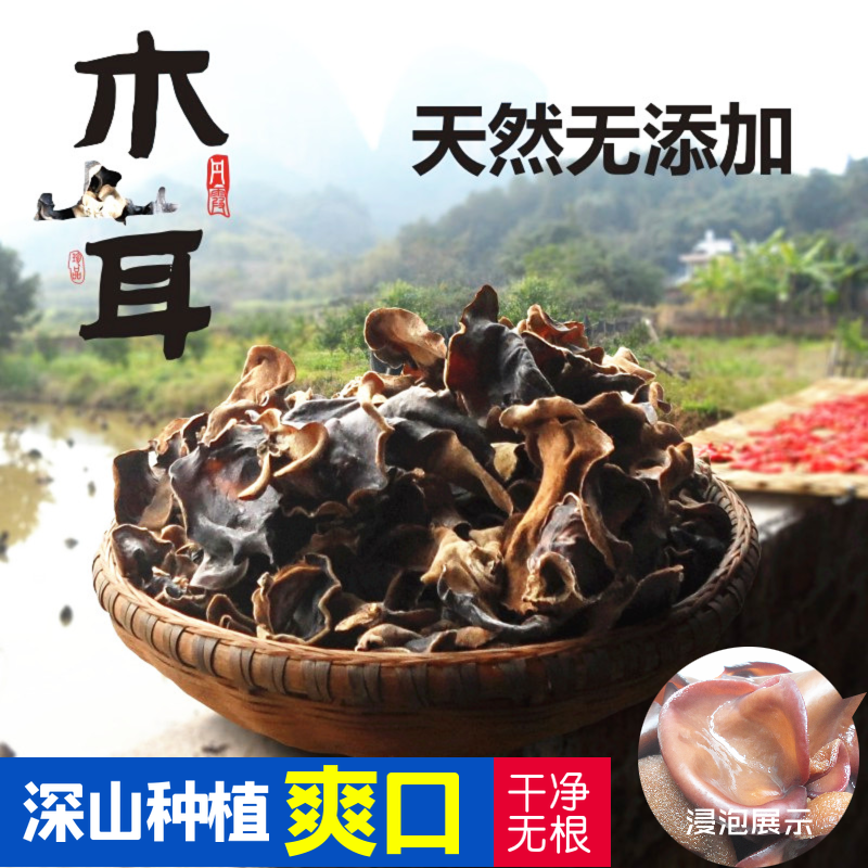 Tilia amurensis:Specialty of North Guangdong,Shaoguan Renhua Nanxiong Lechang Shixing Fungus Tasty, 500Gin the Agri rice/Dried foods/Condiment , Dried foods/Meat Dry , Dry/Native , Black fungus category - from Buy2taobao.com to provide professional Taobao agent buy service