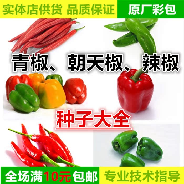蔬菜种子高产朝天椒 甜椒青椒牛角椒阳台庭院四季播易种菜籽包邮在类目 农用物资, 种子/种苗, 蔬菜种子中 - 来自Buy2taobao.com提供专业的淘宝代购服务