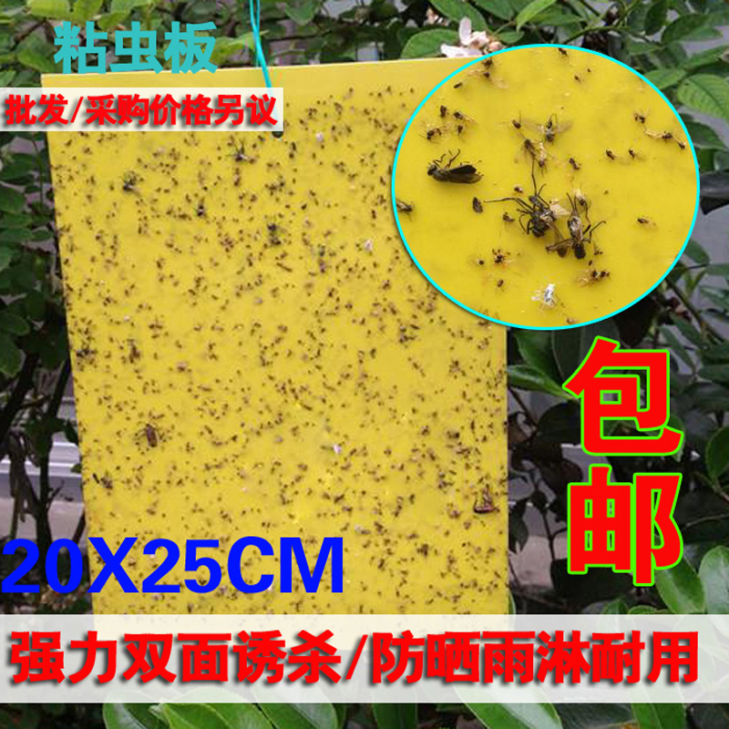 Two-sided Armyworm board Yellow plate pvc high quality Insect board To catch insects aphid Whitefly Small flying insectsin the Flower delivery/Flowers simulation/Plants gardening , Gardening supplies , Other Garden Supplies category - from Buy2taobao.com to provide professional Taobao agent buy service