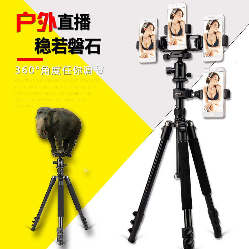 手机直播支架网红户外设备三脚架落地架子快手全套双万能美颜便携在类目 3C数码配件, 手机配件, 手机支架/手机座中 - 来自Buy2taobao.com提供专业的淘宝代购服务