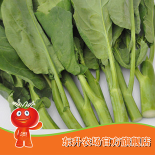  农场直供有机芥兰 有机蔬菜 东升品质保证 广东新鲜配送_（300g）