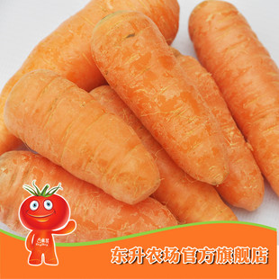  【东升农场】有机胡萝卜_有机蔬菜_有机红萝卜_广州配送（400g）