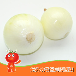  【东升农场】东升黄洋葱_新鲜蔬菜青菜 健康食品广东配送（300g）