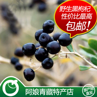  青海黑枸杞 野生手采 正品黑果枸杞 精选上乘 100克/罐 2罐包顺丰
