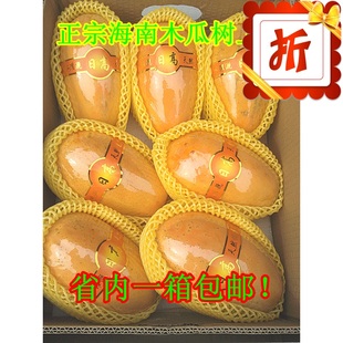  树上熟海南特产红心木瓜 新鲜水果自然熟甜 美容催奶丰胸减肥健胃