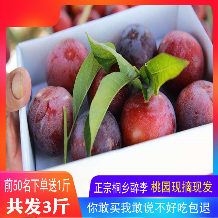 正宗桐乡槜李新鲜水果桃园檇李现摘现发醉李3斤发顺丰|msdalam kategori daging perikanan/Buah-buahan segar dan sayur-sayuran/dimasak, buah-buahan segar, Li Zi - dari Buy2taobao.com untuk memberikan perkhidmatan ejen Taobao profesional membeli