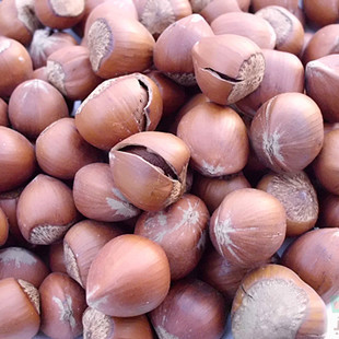  特价新货坚果东北开口野生大榛子薄皮干果原味孕妇必备营养果250g