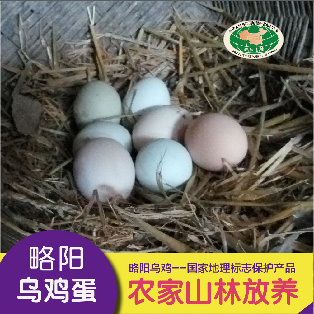 乌鸡蛋 略阳乌鸡蛋 生态野养 坐月子鸡蛋 宝宝蛋 农家粮食蛋30枚|ruв категории водной мясо/свежие фрукты и овощи/еда, яйца/яичные продукты, свежие яйца, яйца - от Buy2taobao.com для оказания профессиональной услуги покупки агента Taobao