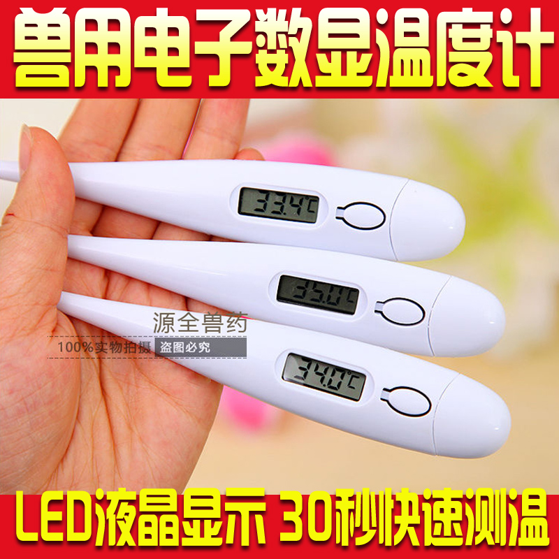 兽药器械兽用电子体温计硬头专用快速测体温养殖|ruв категории животноводства/аквакультура материалов, животноводства/оборудование для разведения, удобрения/корма/убоя и переработки оборудования - от Buy2taobao.com для оказания профессиональной услуги покупки агента Taobao