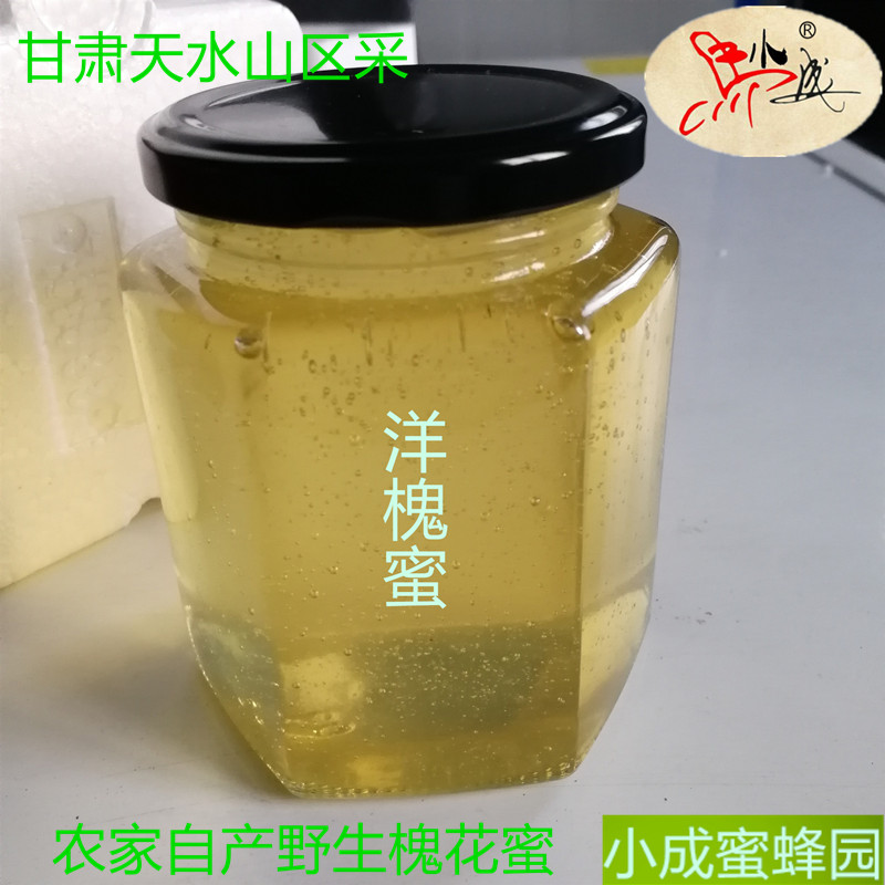 野生 洋槐蜂蜜 小成家蜂场自产 刺槐蜜槐花蜜 液态 凉性500g包邮在类目 传统滋补营养品, 蜂蜜中 - 来自Buy2taobao.com提供专业的淘宝代购服务