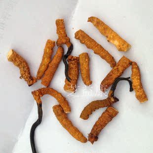  西藏冬虫夏草正品 虫草胶囊批发断草虫多草少特价10克免邮有礼盒