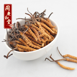  同庆和堂包邮正品青海冬虫夏草4根/克同仁堂级别5克以上配礼盒