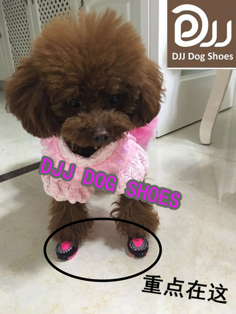 djj狗鞋子比熊泰迪狗鞋宠物防水雨鞋软底小型犬春秋跑不掉狗狗鞋|msdalam kategori haiwan peliharaan/makanan haiwan dan bekalan, Haiwan pakaian dan aksesori, kasut - dari Buy2taobao.com untuk memberikan perkhidmatan ejen Taobao profesional membeli