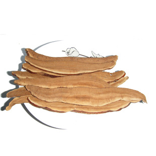  【仁膳堂】灵芝片 特级赤灵芝正品 效优紫灵芝 同仁堂品质 30g