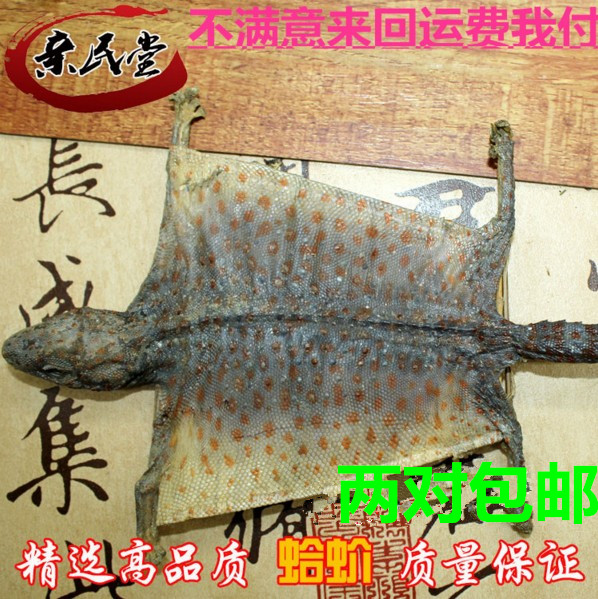 虧本包郵大號蛤蚧 蛤蚧幹泡酒料 精選蛤蚧壹對15.8 2對包郵在類目 傳統滋補營養品, 藥食同源食品, 其他藥食同源食品中 - 來自Buy2taobao.com提供專業的淘寶代購服務
