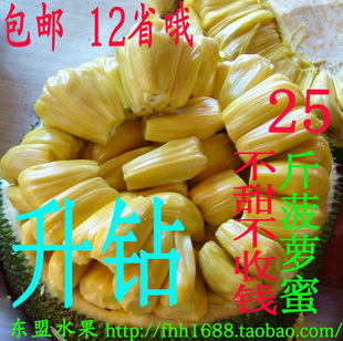  特级木菠萝 菠萝蜜 新鲜水果 特价大促销 一个（25斤) 包邮