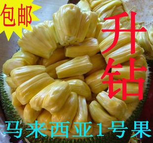  菠萝蜜 新鲜 水果 广西  特产 木菠萝 马来西亚1号 20斤起拍 包邮