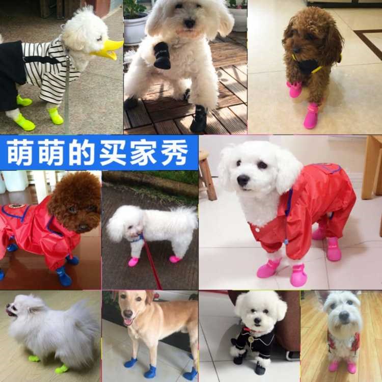 【2双4只装】小狗狗透气鞋子泰迪鞋博美比熊脚套防水宠物鞋雨鞋在类目 宠物/宠物食品及用品, 宠物服饰及配件, 鞋子中 - 来自Buy2taobao.com提供专业的淘宝代购服务