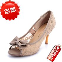 专柜正品代购2013春款蕾丝鱼嘴单鞋花朵蝴蝶结女鞋2dz05d <span class=H>33</span>码